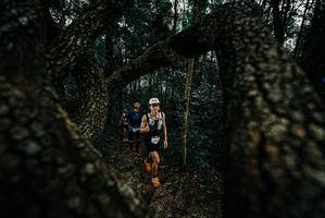 BIB: 
                            <button type="button" onclick="openModal(25677074)" class="btn btn-primary btn-sm float-right btn-popup" data-toggle="modal" data-target=".modal-high-quality">
                        <i class="fas fa-shopping-cart"></i> Add to Cart
                    </button>
                                            <button type="button" onclick="isThisMe(25677074, true)" class="btn btn-success btn-sm float-right btn-popup btn-isme hidden" data-toggle="tooltip" data-placement="bottom" title="นี่คือรูปของคุณใช่ไหม คลิกที่นี่เพื่อเอาเข้าอัลบั้ม">
                        <i class="fas fa-plus"></i> Add to album
                    </button>
                    <button type="button" onclick="isThisMe(25677074, false)" class="btn btn-warning btn-sm float-right btn-popup btn-isnotme hidden">
                        <i class="fas fa-ban"></i> Remove from album
                    </button>